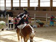 voltitag 2009 _CD1 145